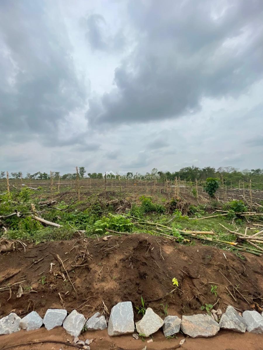 Farm Land Hectare Deals for Pepper, Ayireke Village, Via Alabata, Odeda Local Government, Abeokuta South, Ogun, Commercial Land for Sale