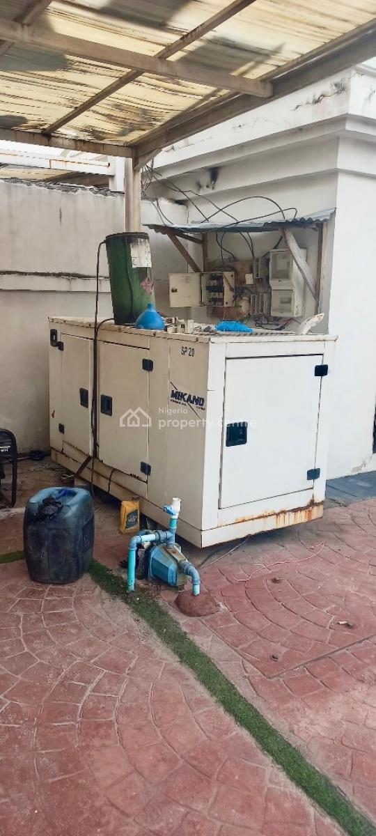 Exotic Fully Furnished Premium  Plus a B Q, Chevron Drive, Lekki, Lagos, Detached Duplex for Rent