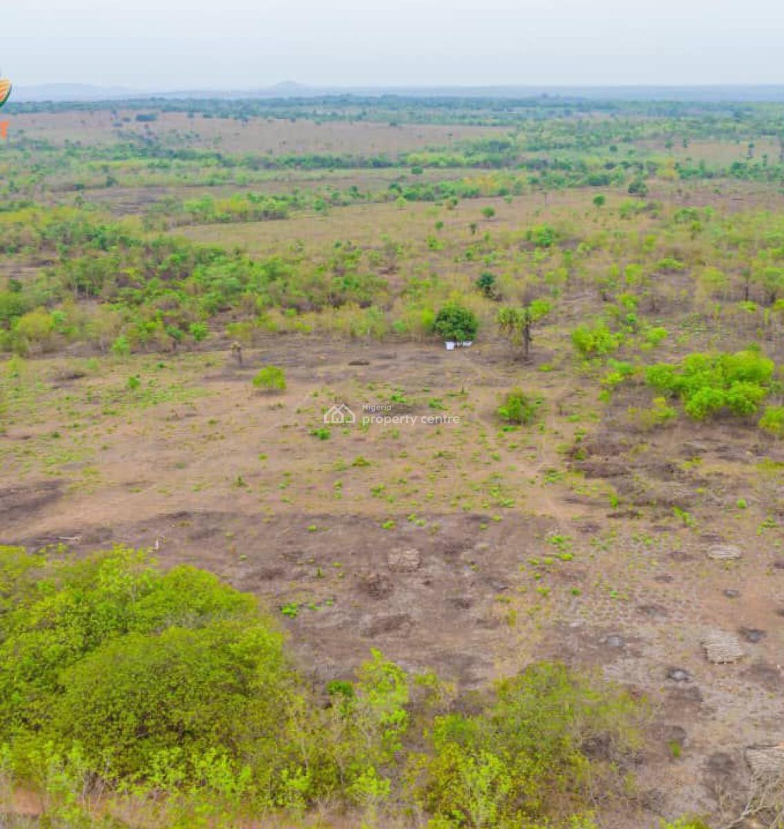 Acres & Hectares of Plantain Plantation Farmlands in Odeda Lga, Odeda, Ogun, Land for Sale
