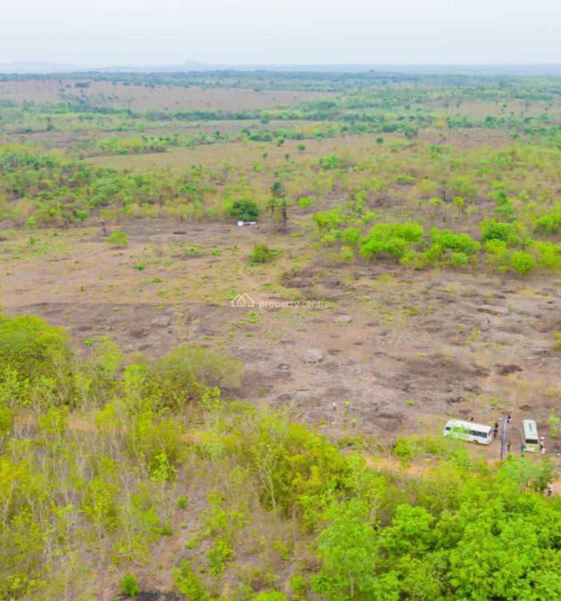Acres & Hectares of Plantain Plantation Farmlands in Odeda Lga, Odeda, Ogun, Land for Sale