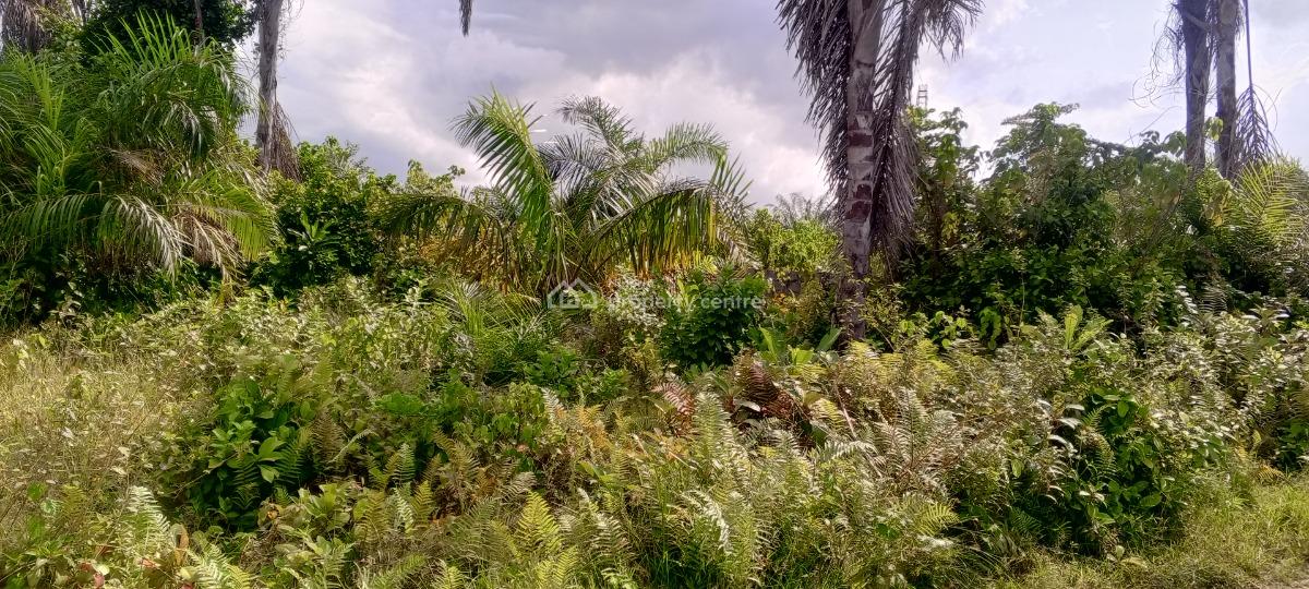 Dry Half Plot of Land Close to Express, 10 Minutes Walk From Lekki-epe Expressway, Near Lakowe Golf, Lakowe, Ibeju Lekki, Lagos, Mixed-use Land for Sale