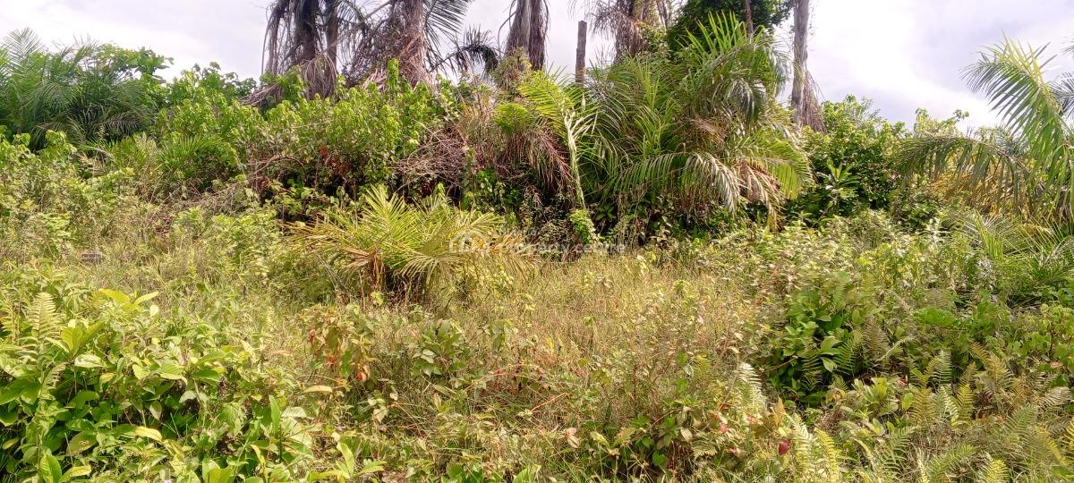 Dry Half Plot of Land Close to Express, 10 Minutes Walk From Lekki-epe Expressway, Near Lakowe Golf, Lakowe, Ibeju Lekki, Lagos, Mixed-use Land for Sale