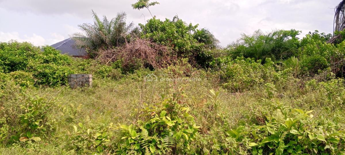 Dry Half Plot of Land Close to Express, 10 Minutes Walk From Lekki-epe Expressway, Near Lakowe Golf, Lakowe, Ibeju Lekki, Lagos, Mixed-use Land for Sale