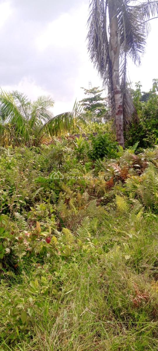 Dry Half Plot of Land Close to Express, 10 Minutes Walk From Lekki-epe Expressway, Near Lakowe Golf, Lakowe, Ibeju Lekki, Lagos, Mixed-use Land for Sale