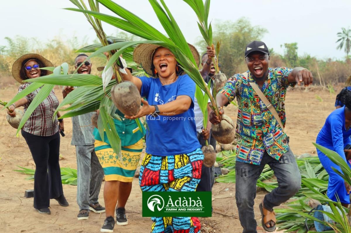 Adaba  Coconut Farm & Resort, Obafemi Owode, Ogun, Industrial Land for Sale