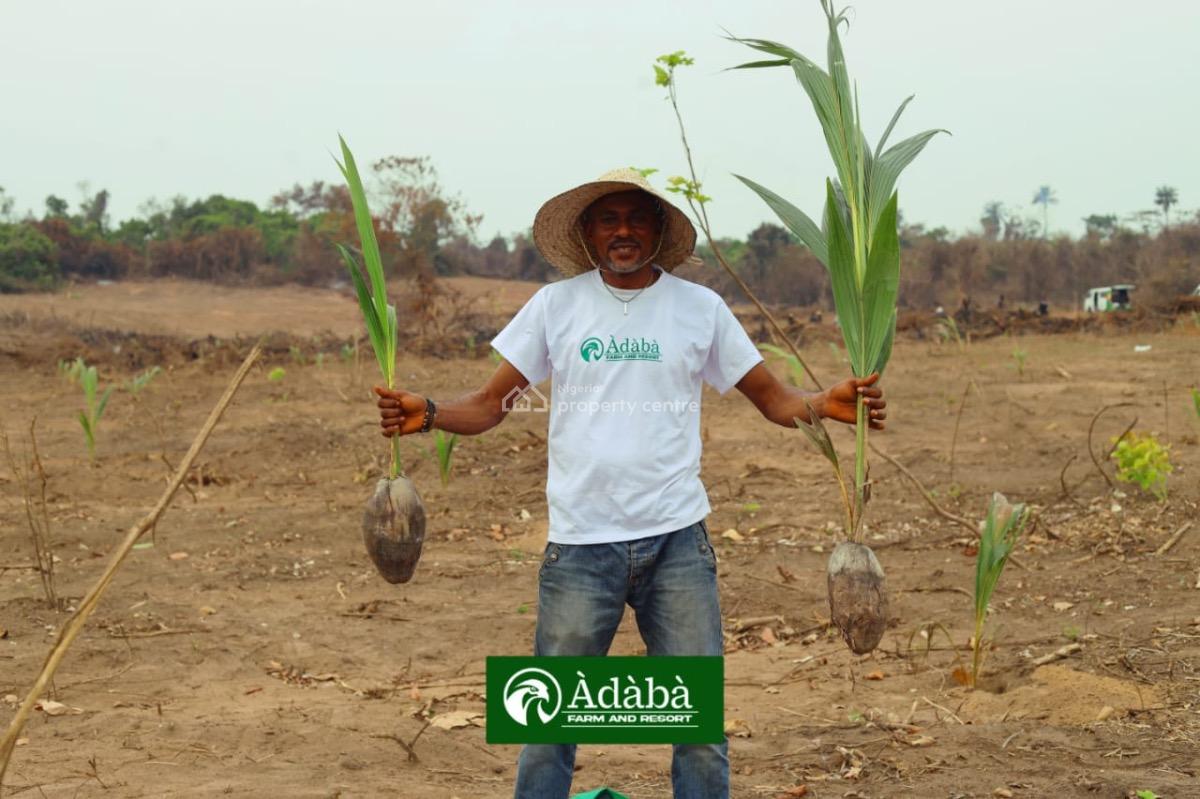 Adaba  Coconut Farm & Resort, Obafemi Owode, Ogun, Industrial Land for Sale