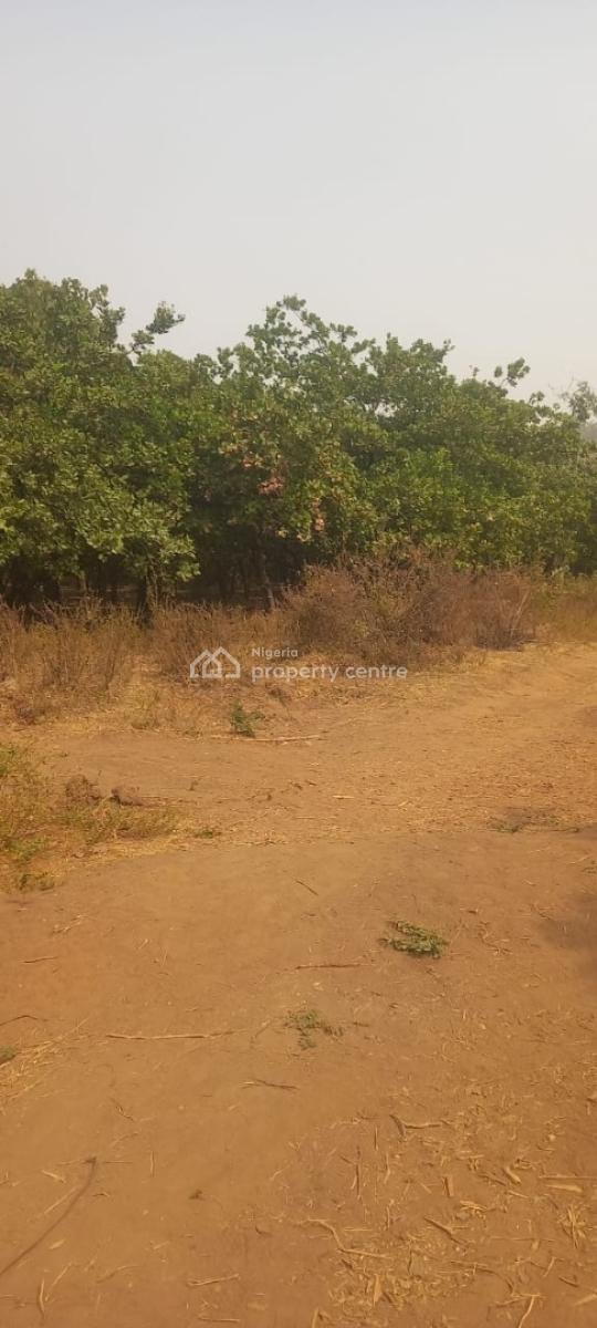 1.4 Hectares (14,000sqm) School Land., Gwarinpa, Abuja, Commercial Land for Sale