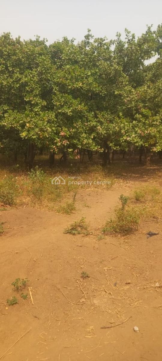 1.4 Hectares (14,000sqm) School Land., Gwarinpa, Abuja, Commercial Land for Sale