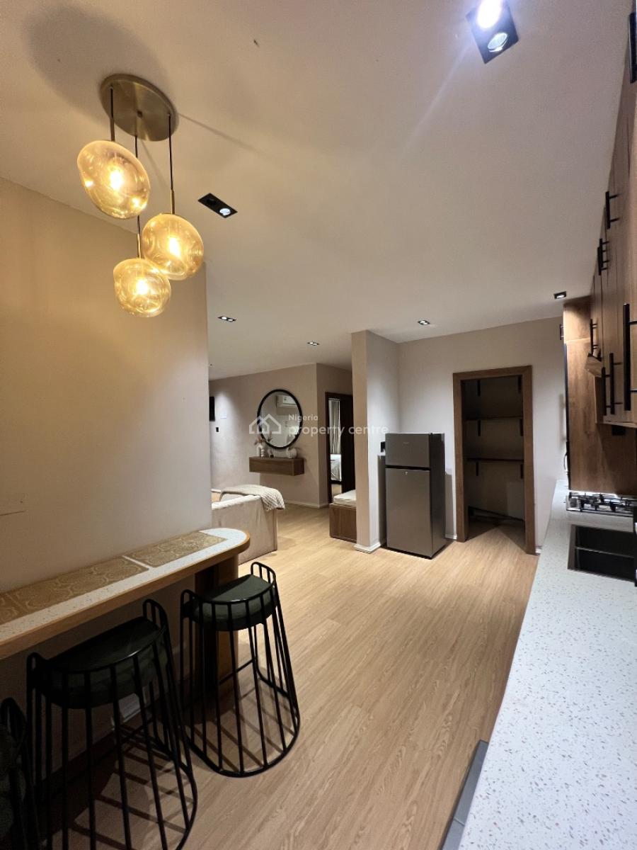 Furnished 2 Bedroom with Swimming Pool, Victoria Island (vi), Lagos, Flat / Apartment for Rent