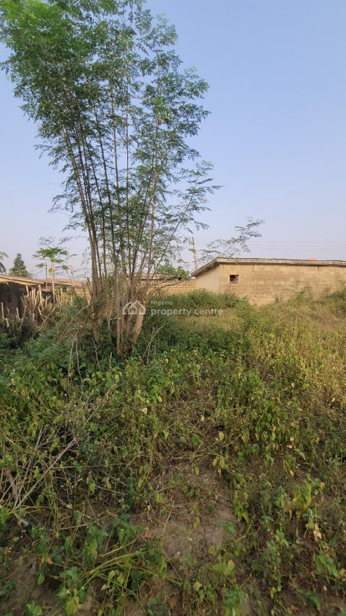 Fenced and Gated Parcel of Land, Alafia Street, Directly Opposite Liberty Academy School Off Akala Expr, Ibadan, Oyo, Land for Sale