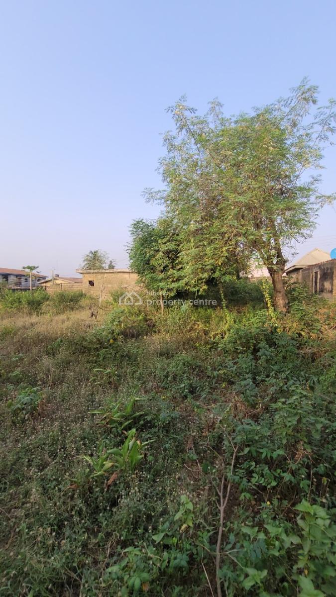 Fenced and Gated Parcel of Land, Alafia Street, Directly Opposite Liberty Academy School Off Akala Expr, Ibadan, Oyo, Land for Sale