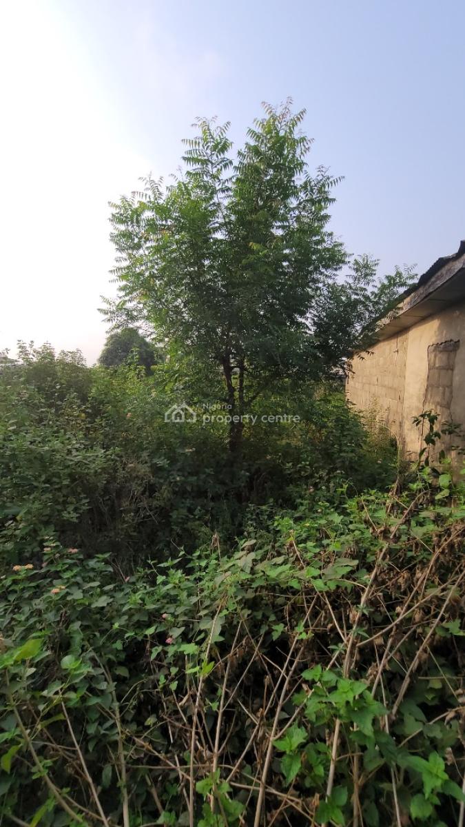 Fenced and Gated Parcel of Land, Alafia Street, Directly Opposite Liberty Academy School Off Akala Expr, Ibadan, Oyo, Land for Sale