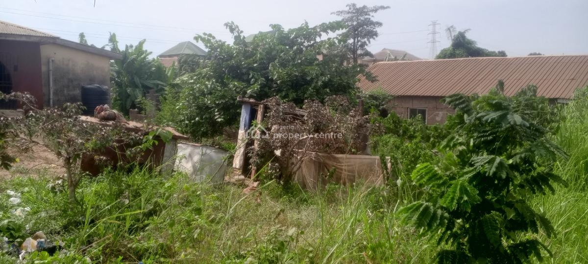 Half Plot of Land with Foundation Near Bus Stop, Short Drive From Arepo, Very Close to Ascon Bus Stop, Ibafo, Ogun, Mixed-use Land for Sale