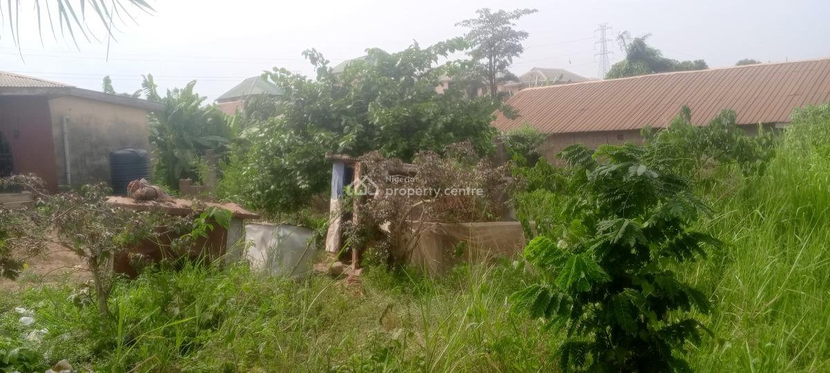 Half Plot of Land with Foundation Near Bus Stop, Short Drive From Arepo, Very Close to Ascon Bus Stop, Ibafo, Ogun, Mixed-use Land for Sale