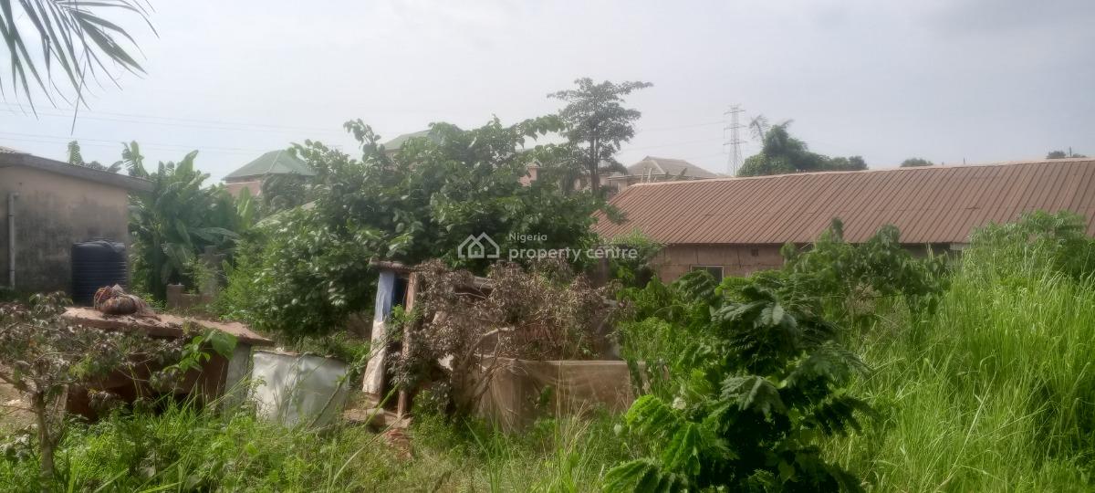 Half Plot of Land with Foundation Near Bus Stop, Short Drive From Arepo, Very Close to Ascon Bus Stop, Ibafo, Ogun, Mixed-use Land for Sale