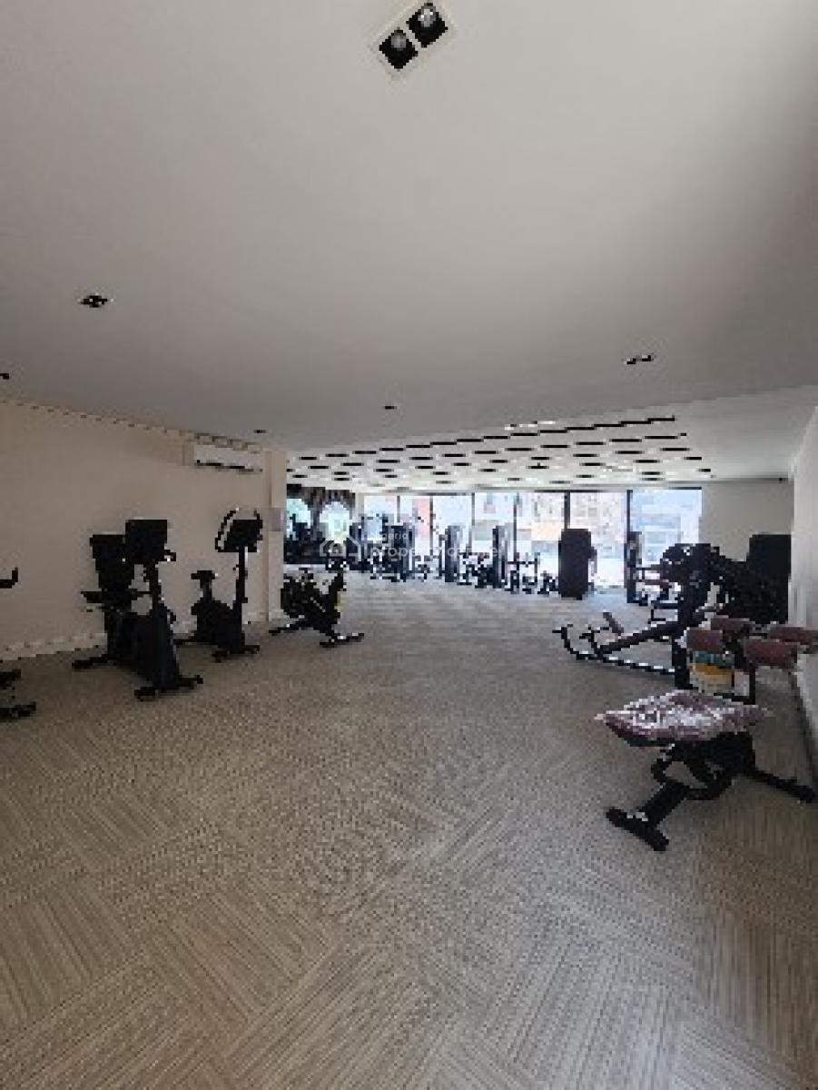 Ultra-luxury 3 Bedroom + Bq, Ikate, Lekki, Lagos, Flat / Apartment for Sale