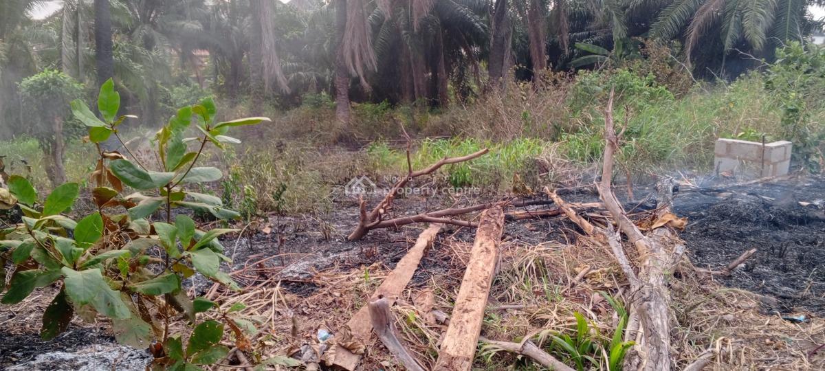 Dry Plots & Half Plots of Land, Oke Afa, Magboro, Ogun, Mixed-use Land for Sale