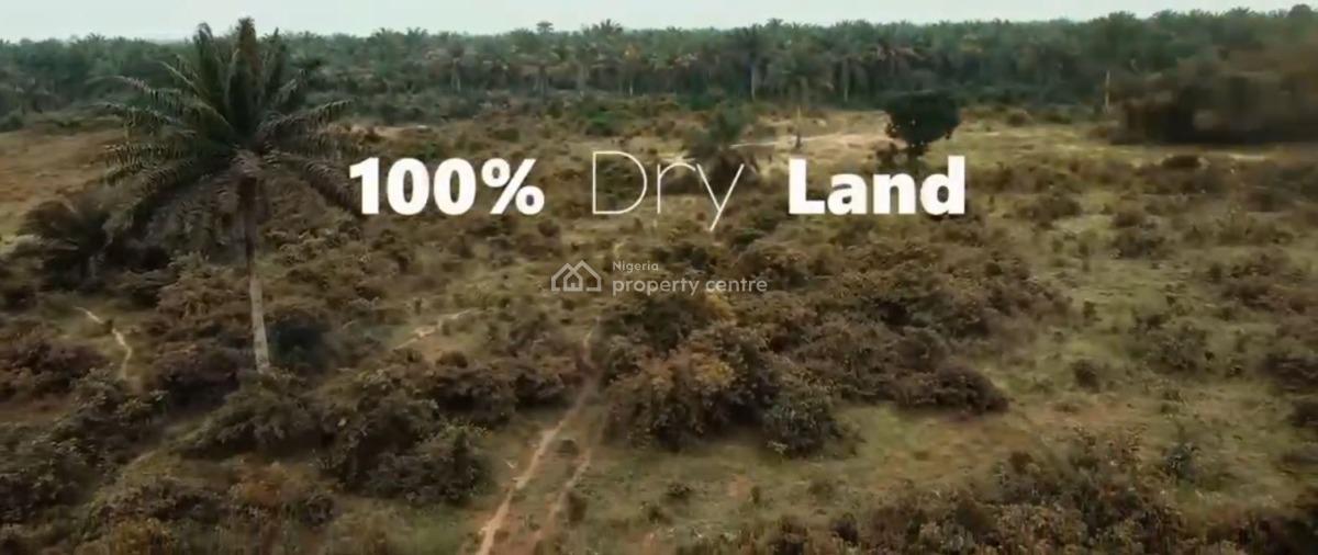 Hills Top Layout, Ukwa-west, Owaza, Ukwa, Abia, Residential Land for Sale