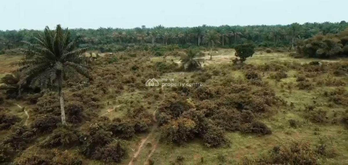 Hills Top Layout, Ukwa-west, Owaza, Ukwa, Abia, Residential Land for Sale