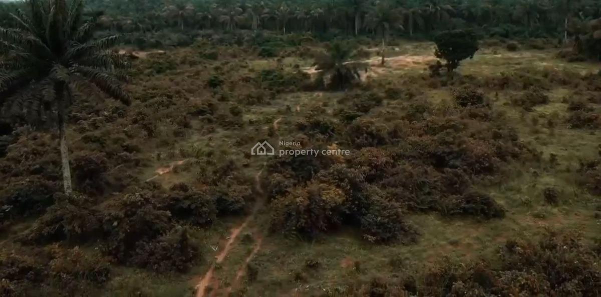 Hills Top Layout, Ukwa-west, Owaza, Ukwa, Abia, Residential Land for Sale