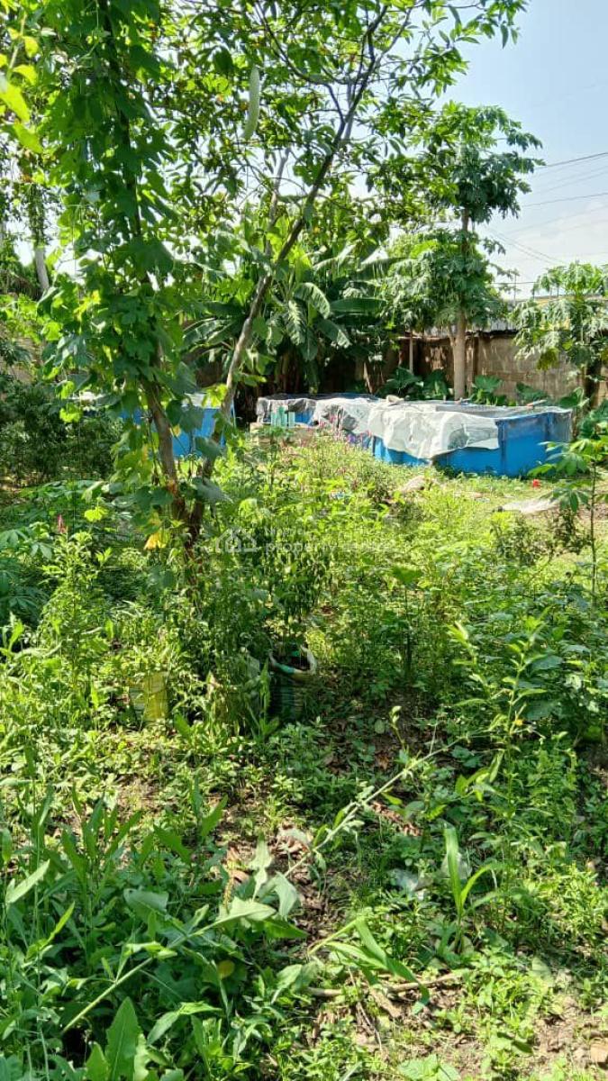 Bareland Measuring 700sqm, Off 1st Avenue, Gowon Estate, Egbeda, Alimosho, Lagos, Residential Land for Sale