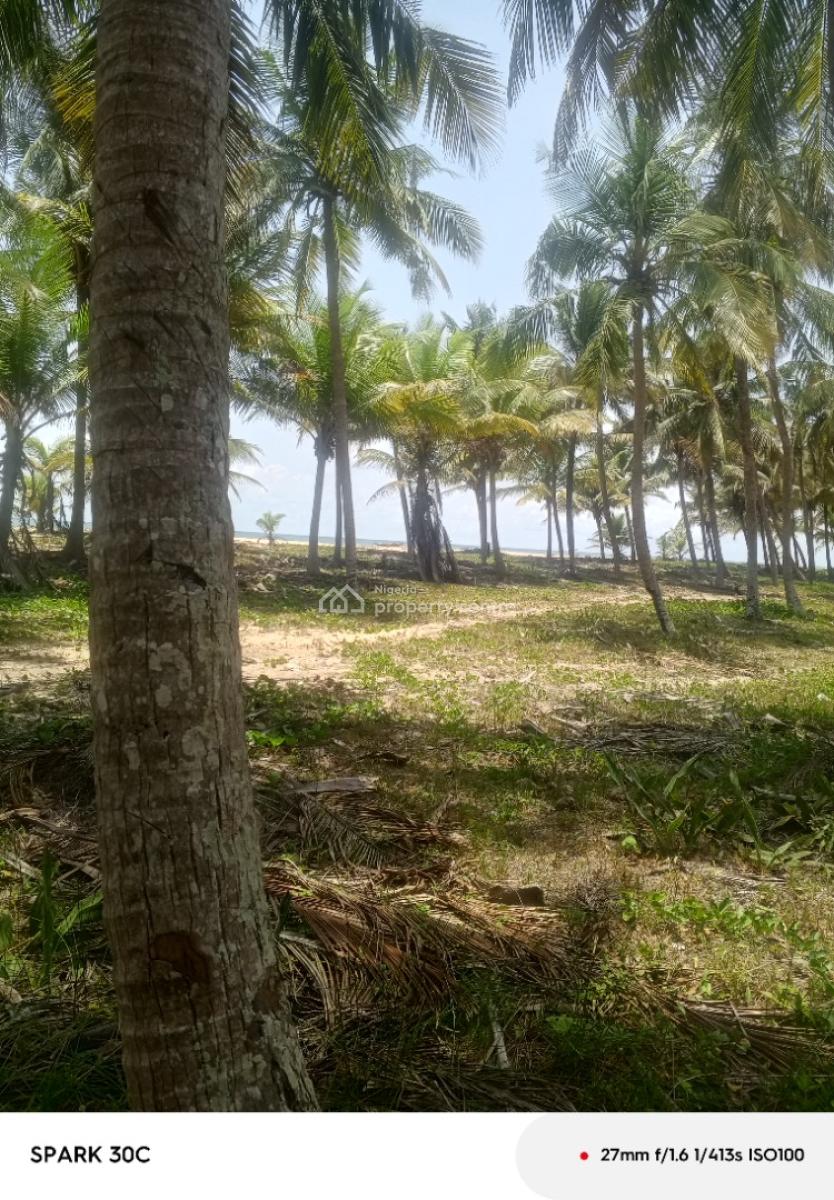 Residential Land with C of O, Beach Palace, Ode Omi, Ibeju Lekki, Lagos, Residential Land for Sale