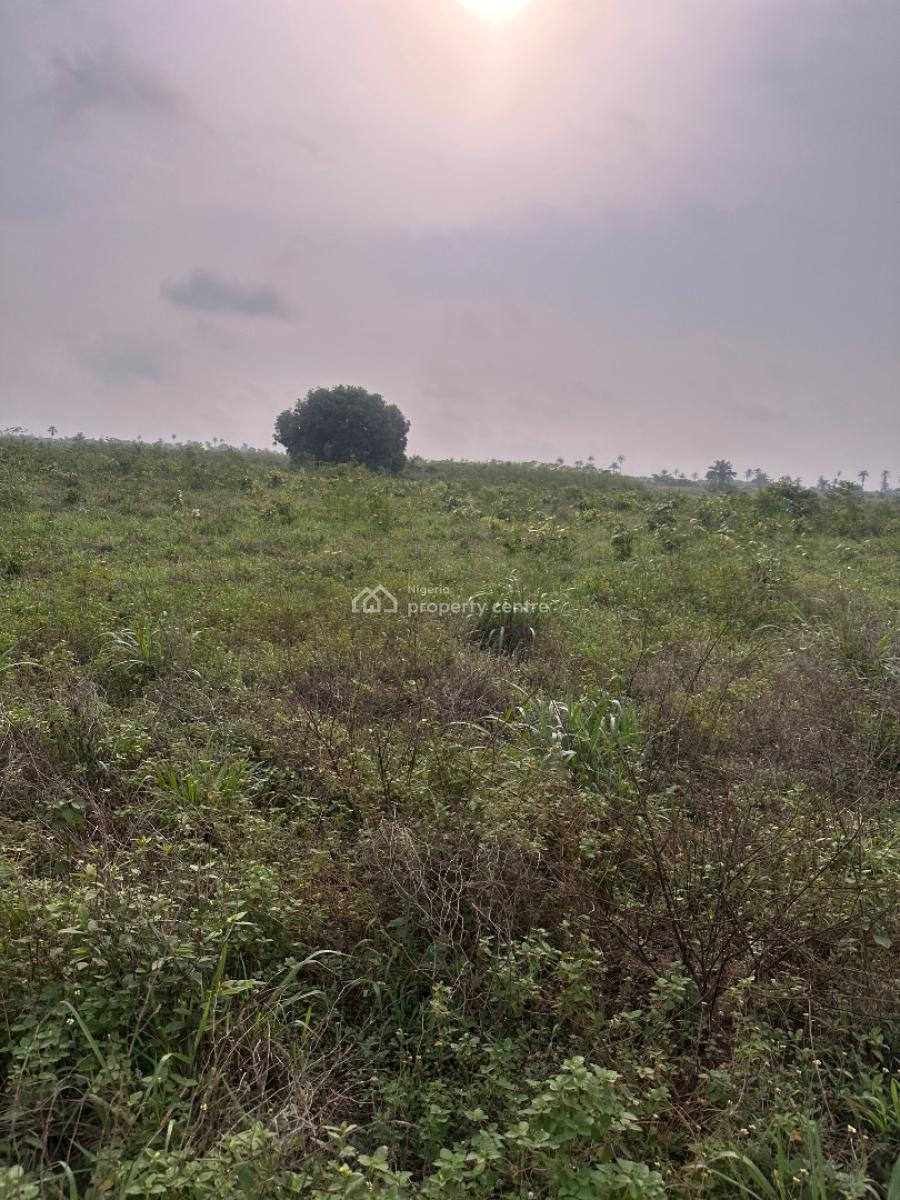 Farmland  in Ogun State, Ajebo-abeokuta Road, Obafemi Owode, Ogun, Commercial Land for Sale