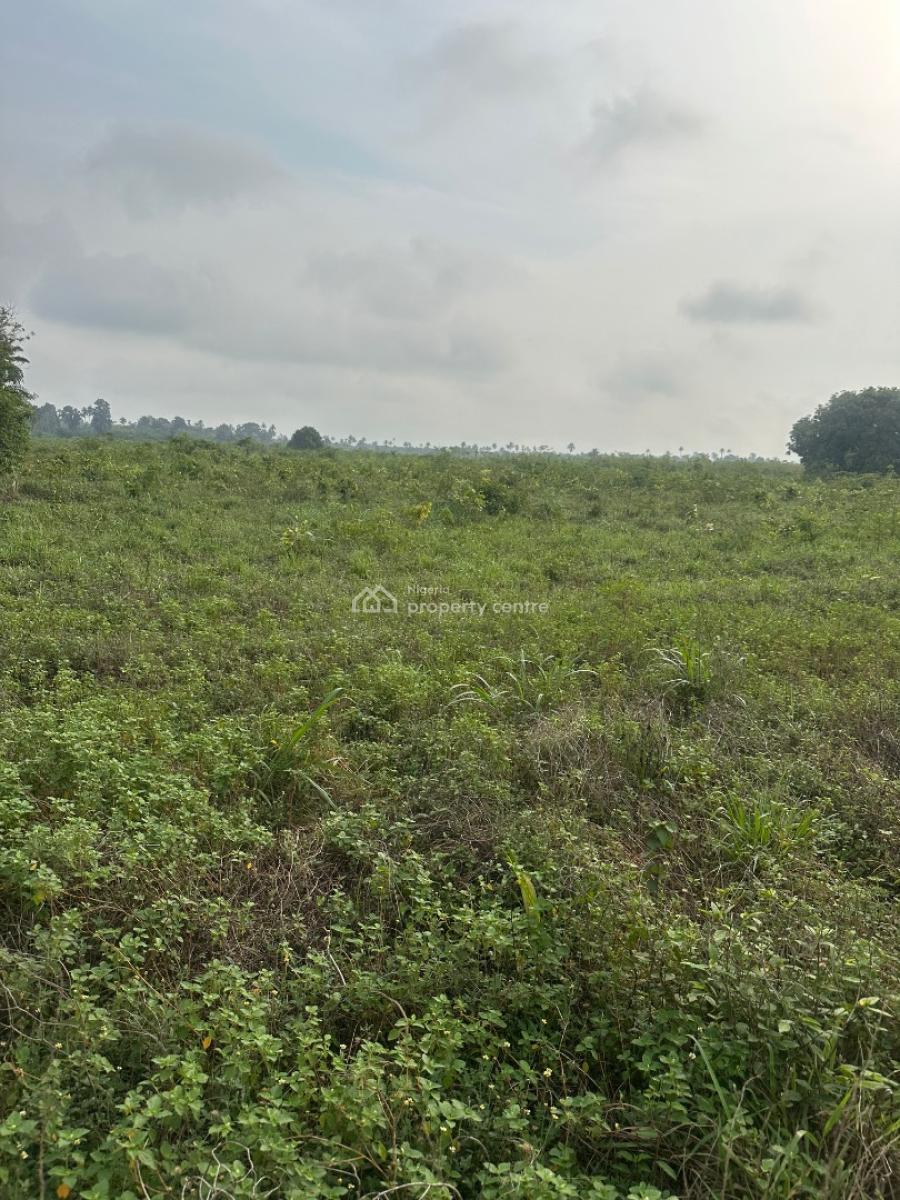 Farmland  in Ogun State, Ajebo-abeokuta Road, Obafemi Owode, Ogun, Commercial Land for Sale