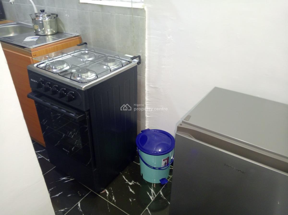 Beautiful Mini Flat, Off Adelabu Street, Surulere, Lagos, Mini Flat (room and Parlour) for Rent