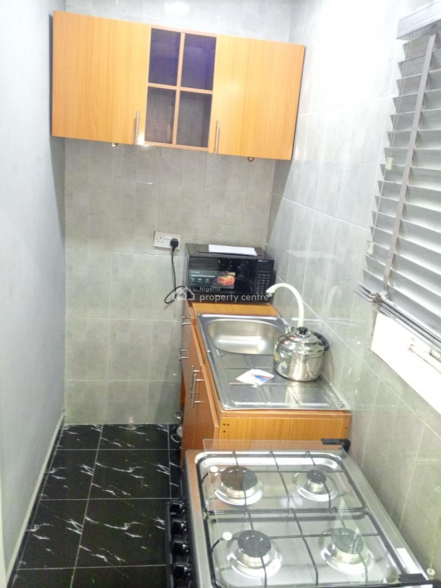 Beautiful Mini Flat, Off Adelabu Street, Surulere, Lagos, Mini Flat (room and Parlour) for Rent