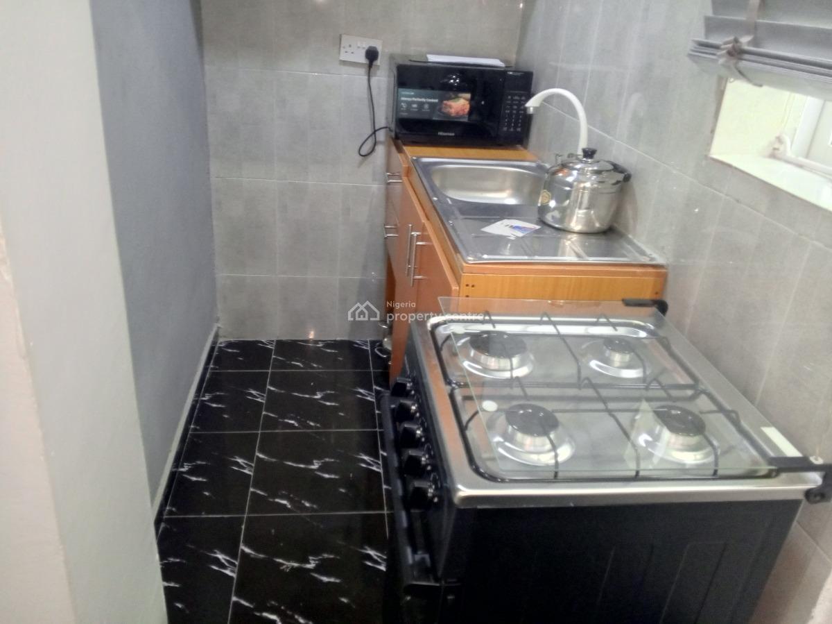 Nice Mini Flat, Off Adelabu Street, Surulere, Lagos, Mini Flat (room and Parlour) Short Let