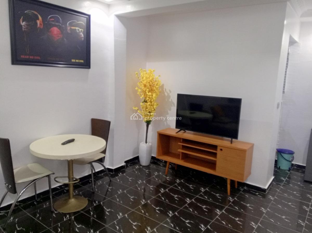 Nice Mini Flat, Off Adelabu Street, Surulere, Lagos, Mini Flat (room and Parlour) Short Let