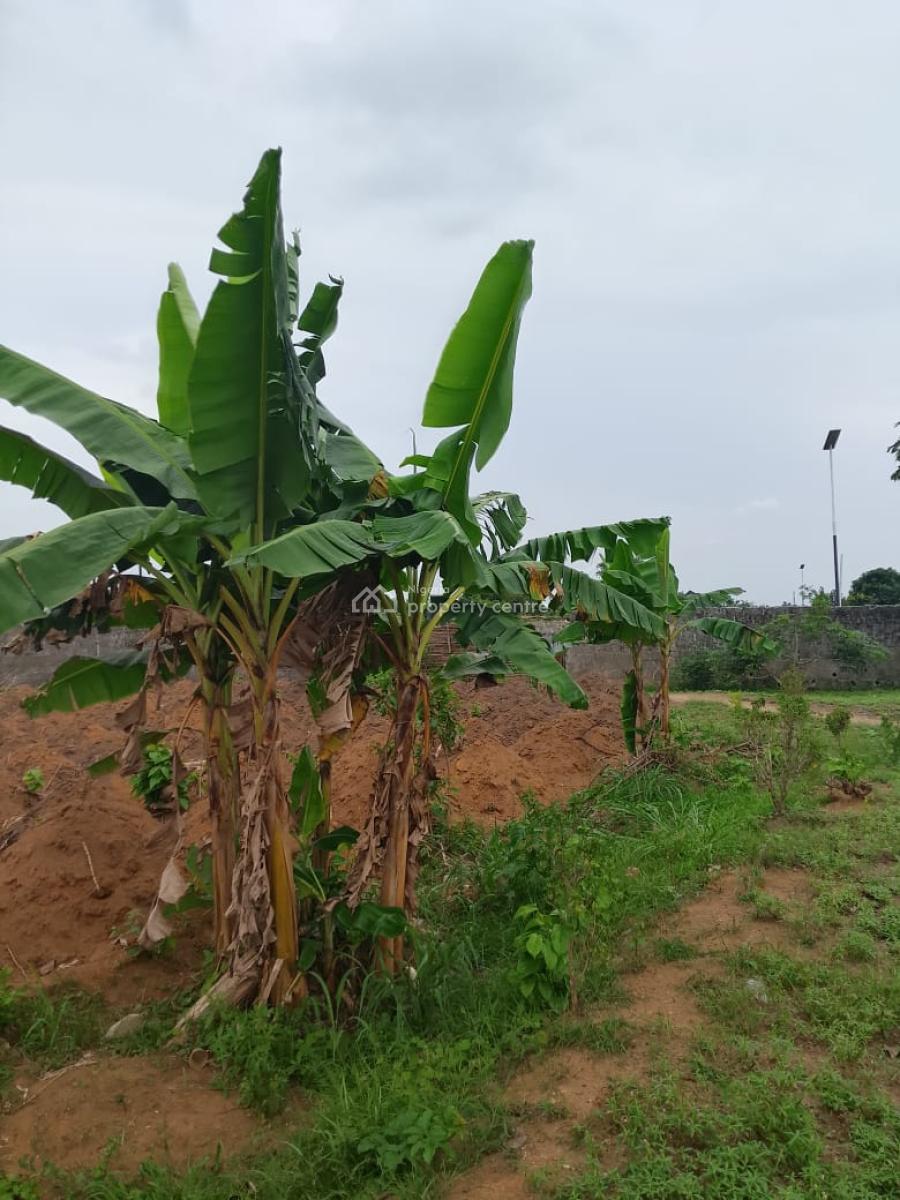 Affordable Plots of Land Available, Chinyere Maternity, Rumuochiolu, Eneka, Port Harcourt, Rivers, Residential Land for Sale