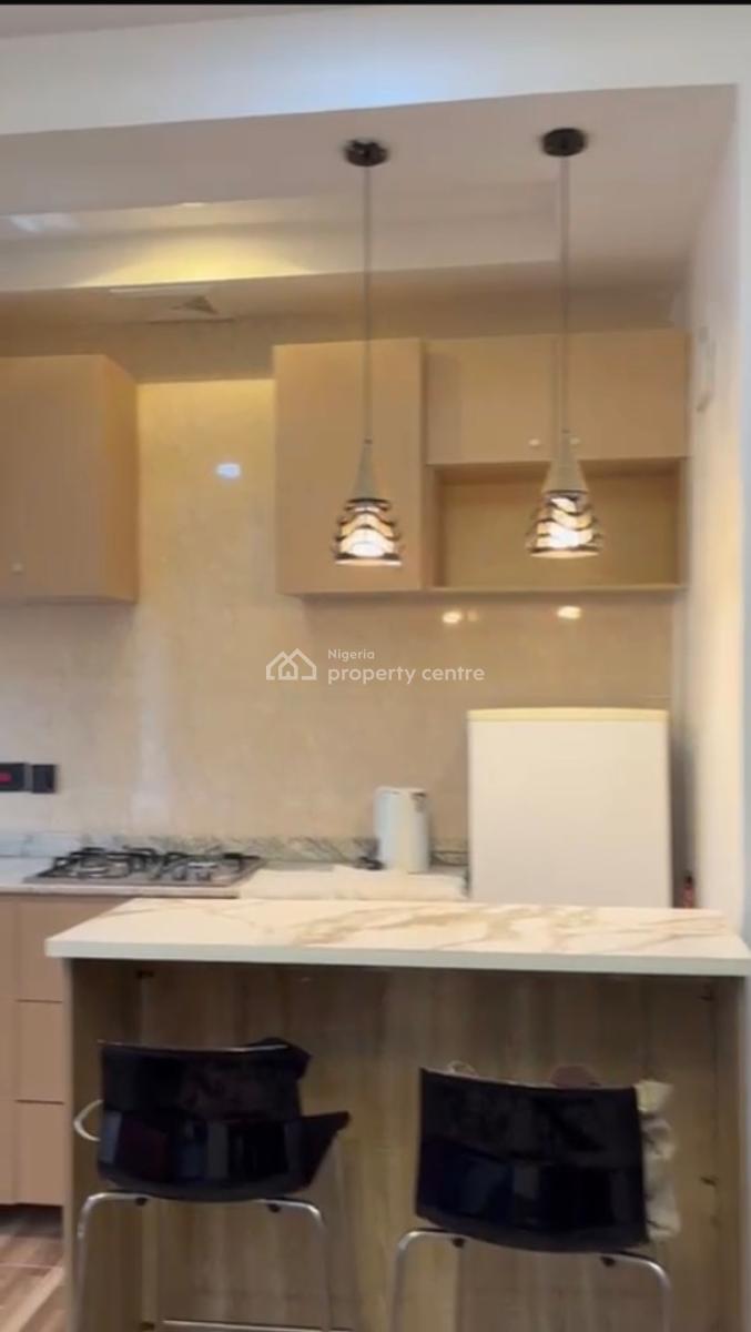 Executive Standard Fully Furnished Mini Flat, Shomolu, Lagos, Mini Flat (room and Parlour) for Rent