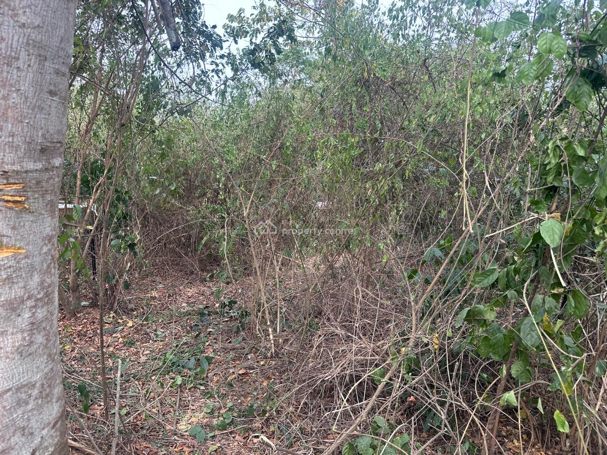 Own a Farmland, Off Ajebo-abeokuta Express, Obafemi Owode, Ogun, Land for Sale