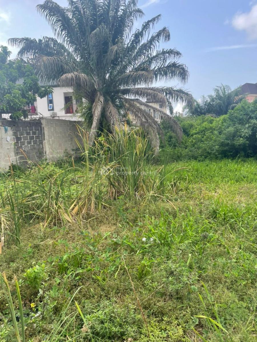 Sharp Lovely Dry 2 Plots of Land, Sangotedo Eti-osa Lagos, Sangotedo, Ajah, Lagos, Commercial Property for Sale