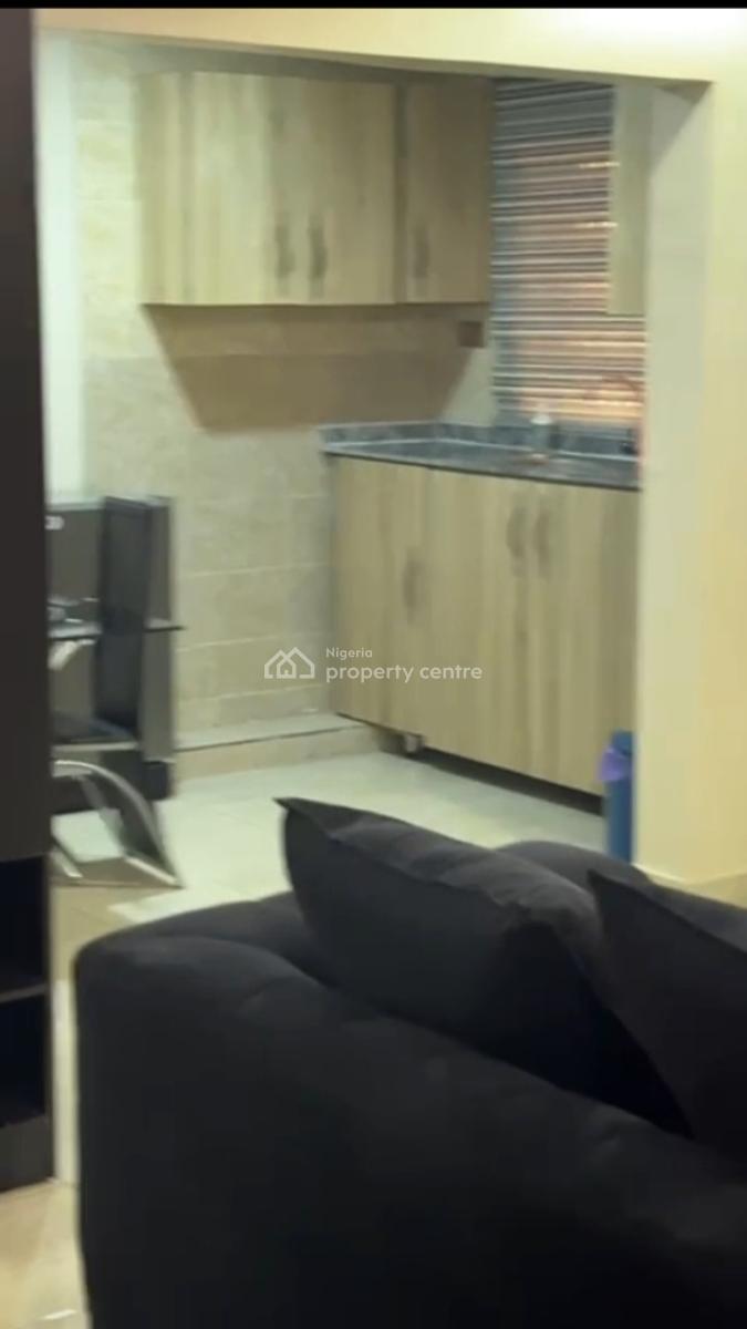 Exquisitely Fully Furnished Serviced Studio Flat Apartments with a Cen, 2rd Avenue, Old Ikoyi, Ikoyi, Lagos, Mini Flat (room and Parlour) for Rent