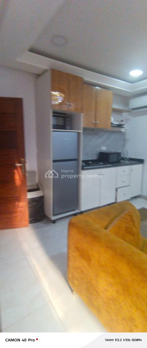 Fully Furnished Two Bedroom Flat in Lekki Right, Lekki Right By Pinnacle Fuel Station, Lekki Phase 1, Lekki, Lagos, Flat / Apartment for Rent