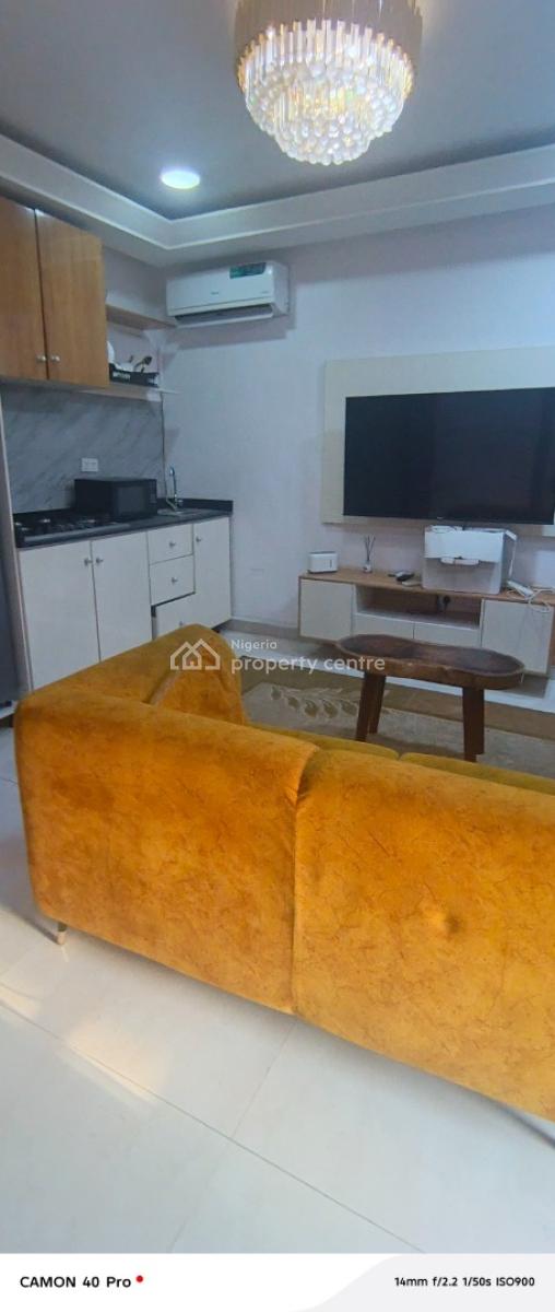 Furnished and Service Mini Flat in Phase 1, Lekki Right, Lekki Phase 1, Lekki, Lagos, Mini Flat (room and Parlour) for Rent