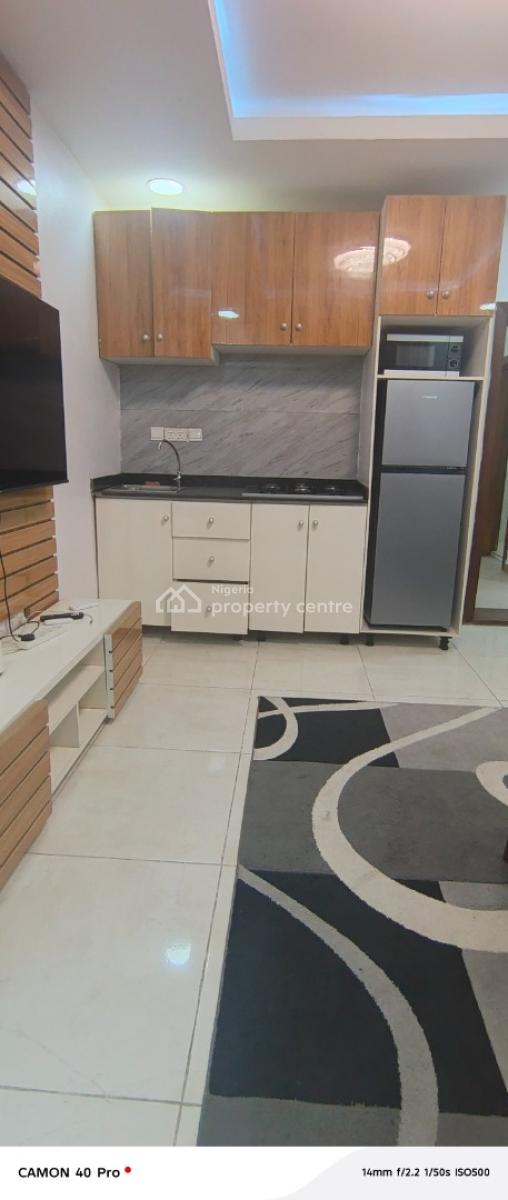 Furnished and Service Mini Flat in Phase 1, Lekki Right, Lekki Phase 1, Lekki, Lagos, Mini Flat (room and Parlour) for Rent