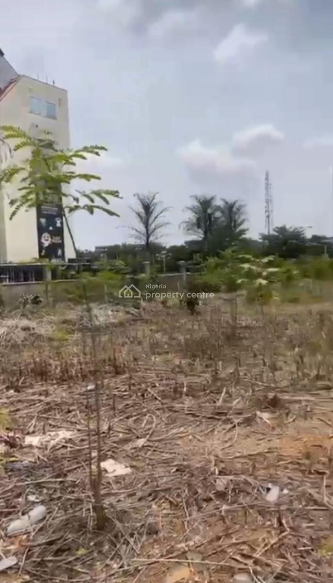 Central Business District 6000sqm Commercial Plot Beside Silver Bird, Central Business District, Abuja, Commercial Land for Sale