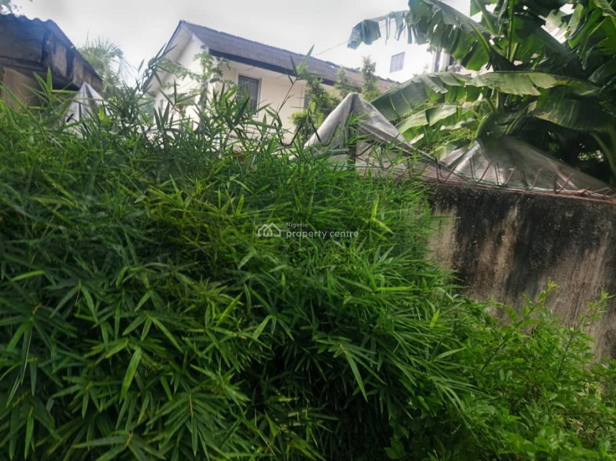 5 Bedroom Detached House, Off Bourdillion, Ikoyi, Lagos, Detached Duplex for Rent