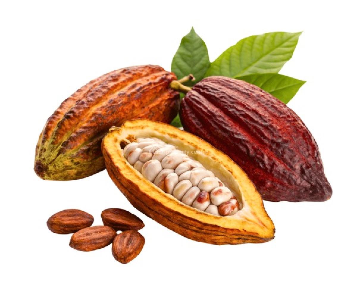 Invest in Cocoa Farmland,secure Your Future Now., Cocoa Republic,buy One Or More Acre Plus 400 Seedlings., Obafemi Owode, Ogun, Commercial Land for Sale