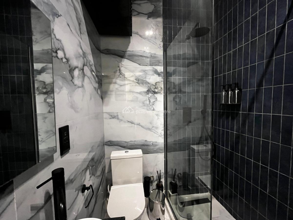 Exquisitely Finished Fully Furnished and Serviced 2 Bedroom Flat, Old Ikoyi, Ikoyi, Lagos, Flat / Apartment for Rent