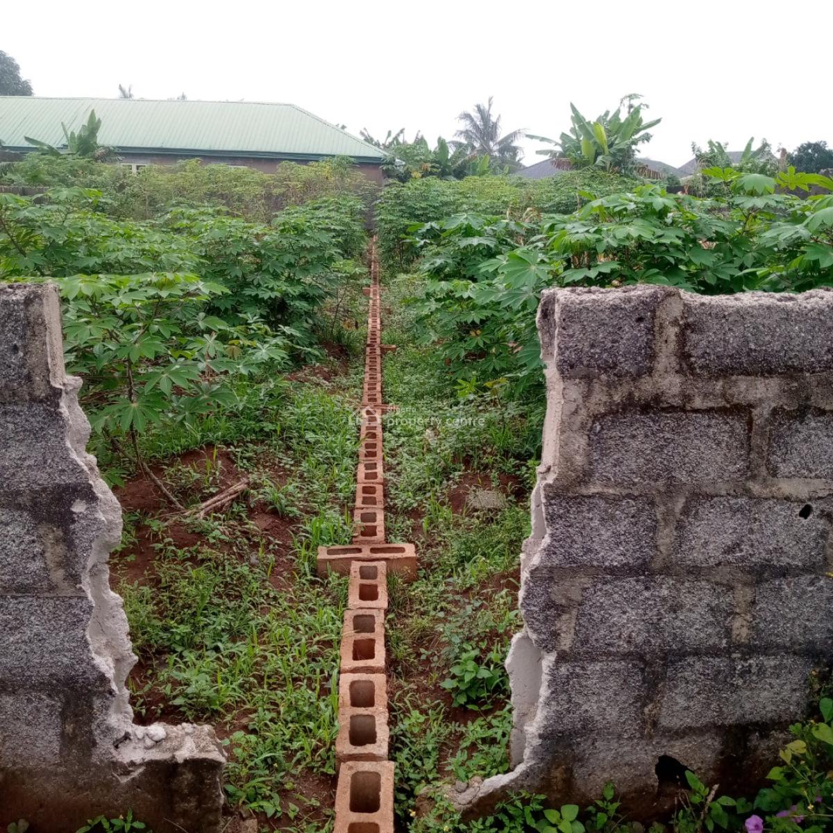 a Virgin Half Plot in a Well Developed Area Closer to Tarred Rd, Off Latikay Bus Stop Lusada Td, Agbara, Ado-odo/ota, Ogun, Mixed-use Land for Sale