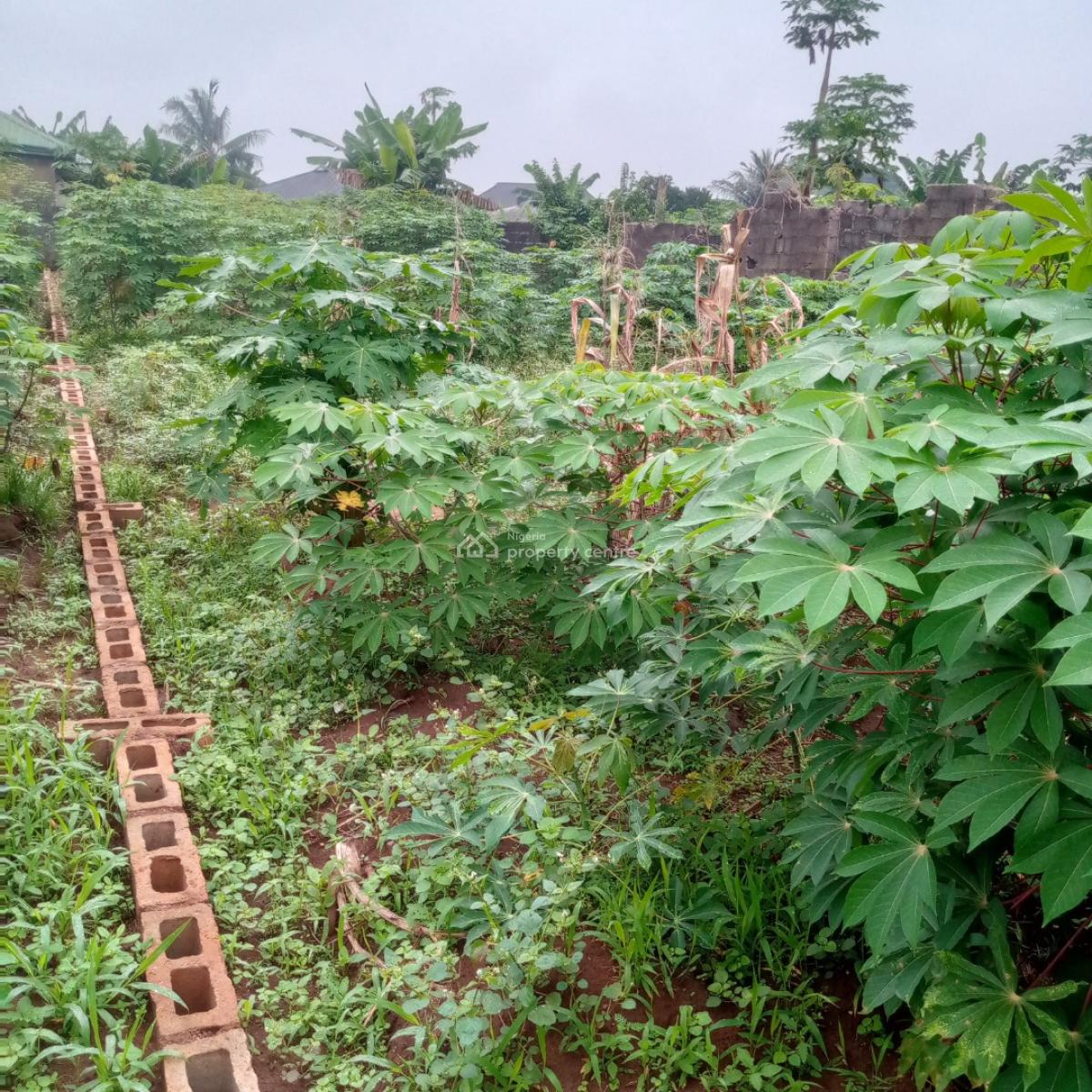 a Virgin Half Plot in a Well Developed Area Closer to Tarred Rd, Off Latikay Bus Stop Lusada Td, Agbara, Ado-odo/ota, Ogun, Mixed-use Land for Sale