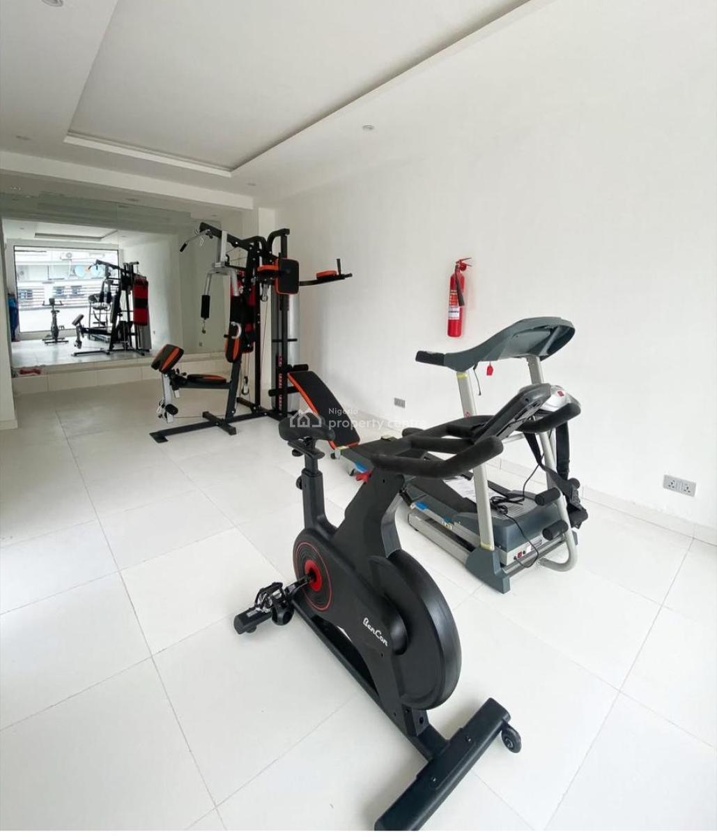 Alluringly Finished Luxury 3  Bedroom Apartment + Bq with Gym for Grab, Ikate, Lekki, Lagos, Flat / Apartment for Sale