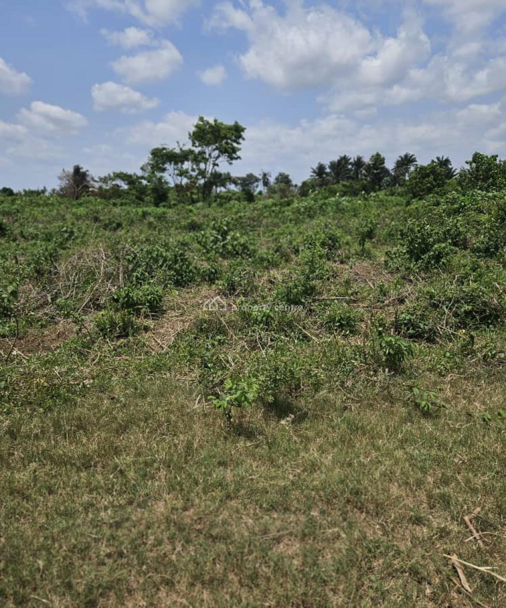 10 Acres of Dry Land Together in a Developed Area, Medina Bus Stop Idologbo, Agbara-igbesa, Lagos, Mixed-use Land for Sale