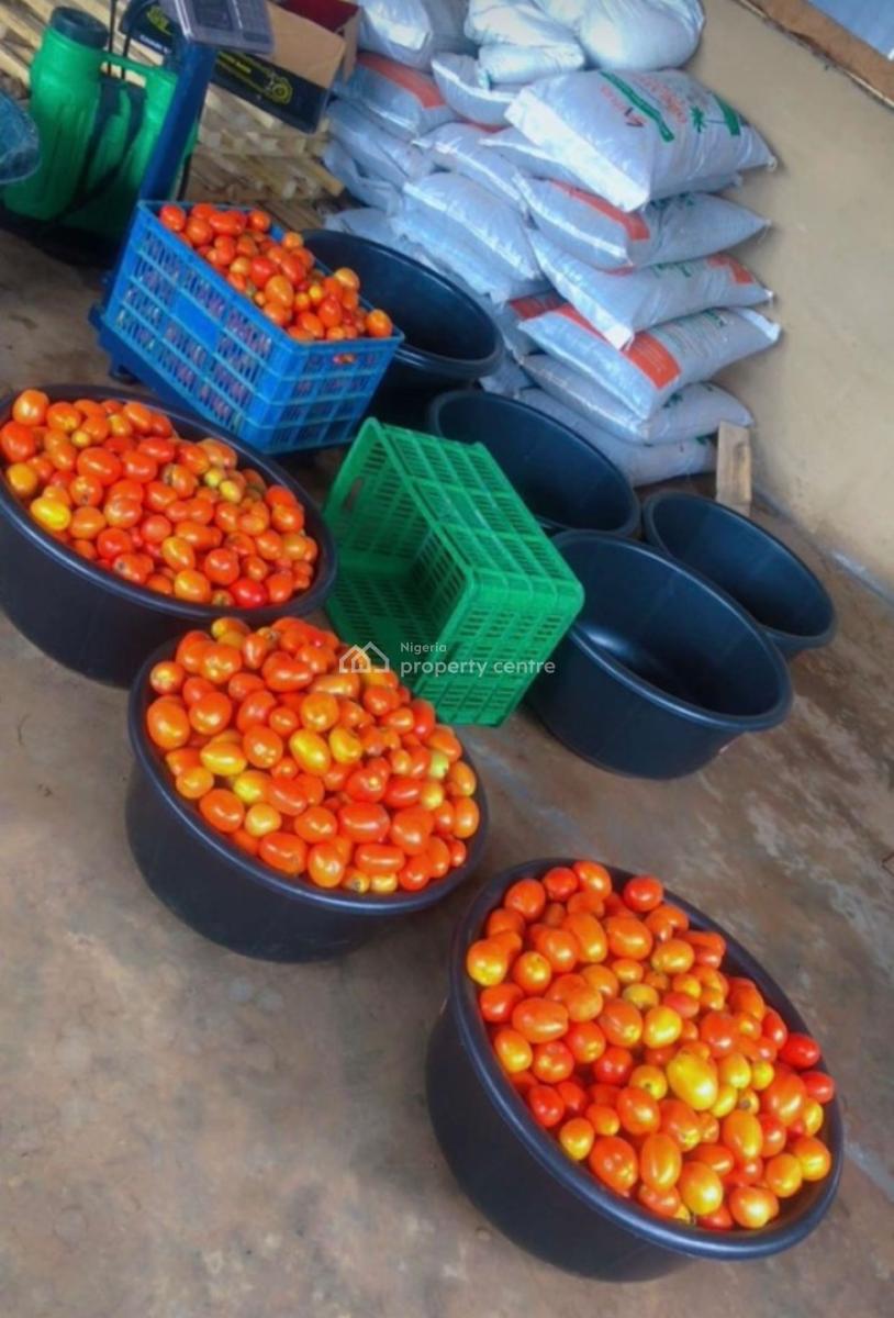 Farmland Available in an Agricultural Allocated Area, Abeokuta North, Ogun, Land for Sale