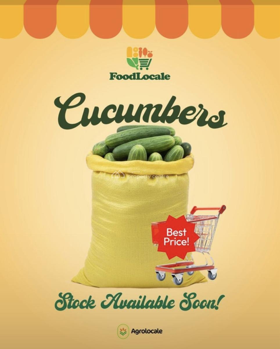 Farmland Available in an Agricultural Allocated Area, Abeokuta North, Ogun, Land for Sale